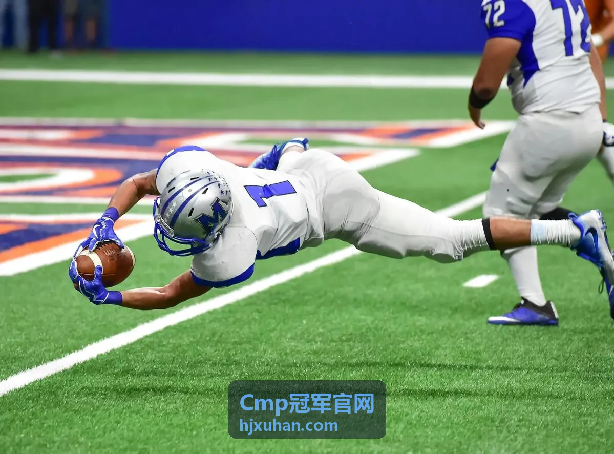 Cmp冠军官网全域增长数据流