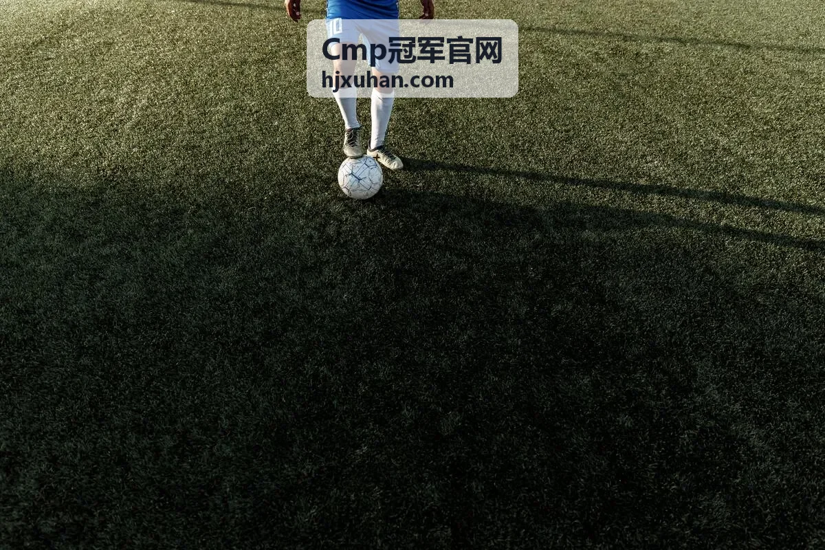 电商运营总监